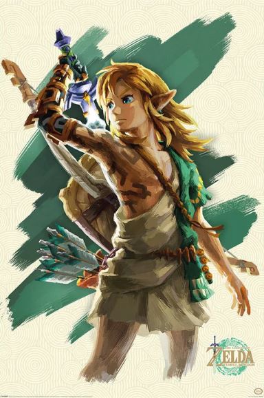 The Legend of Zelda Tears of the Kingdom Link Unleashed