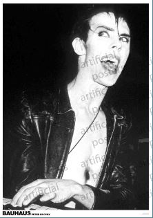 Peter Murphy of Bauhaus